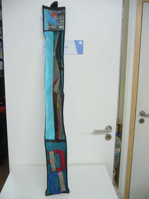 Vendo Papagaio pilotável