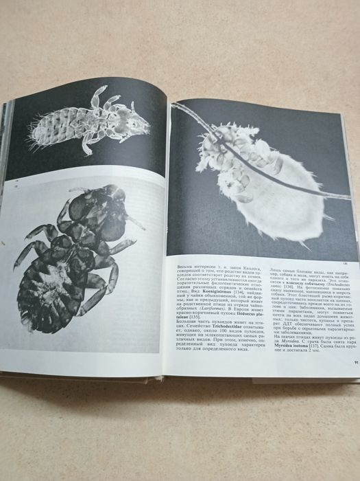 Энциклопедия насекомых.