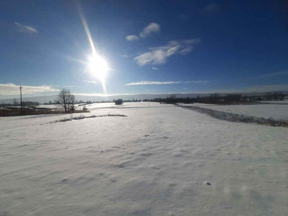 Sprzedam 2 małe działki rolne ( Łąka)