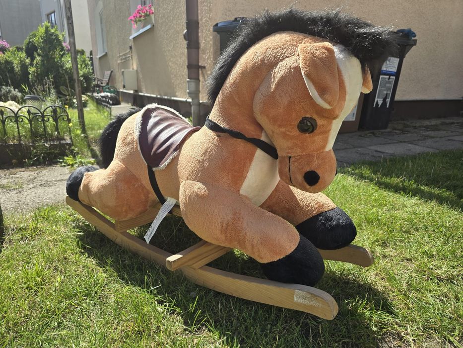 Konik na biegunach