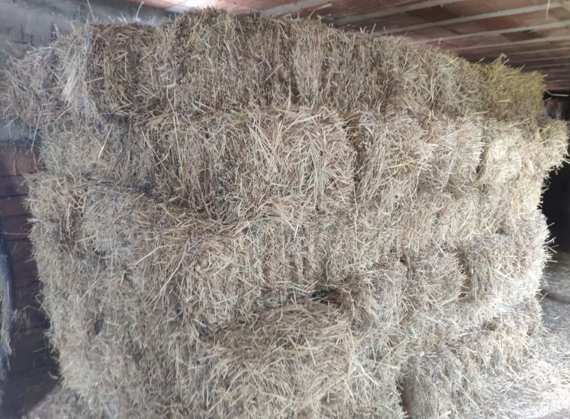 Fardos de palha - Aveia e Azevem