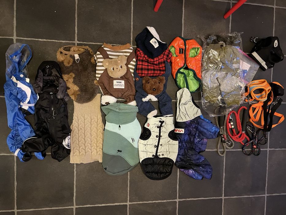 Одежда  для собачек б/у в отличном состоянии 22–25 см+ поводки