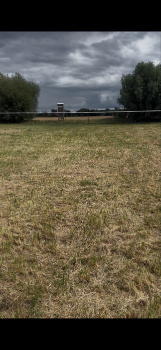 Dzialka budowlana 15,25ar w Ulim k Gorzów Wlkp - Widok 5