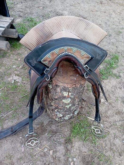 Sela à portuguesa Gomes Equestre, equitação