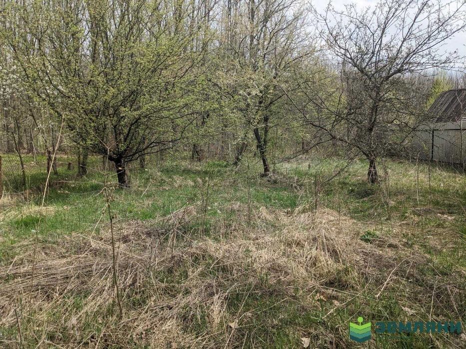 Дачна ділянка в Ценжеві (1)