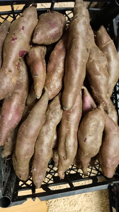 Дієтичний екологічний Батат