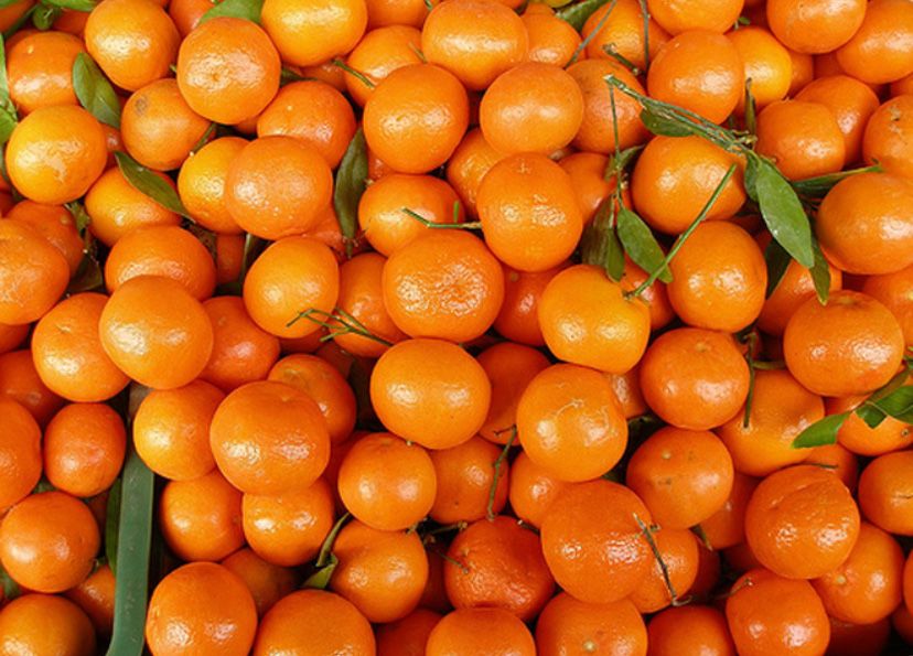 Продам мандарини, місто Одеса