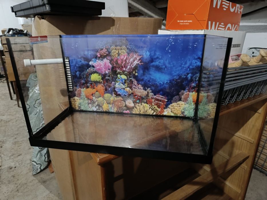 Aquário de peixes c/bomba