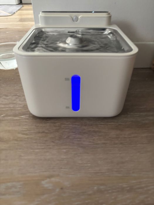 Bebedouro automático gatos