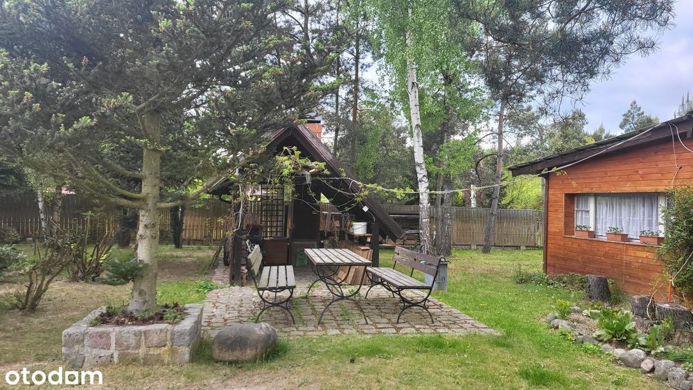 Dom w otulinie lasów.
