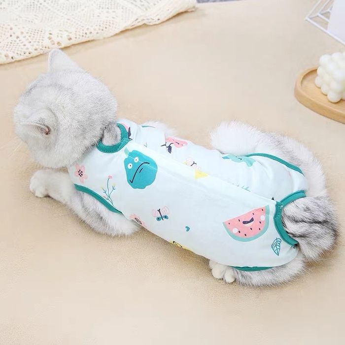 Roupa para Cão ou Gato Tamanho XL (4-6kg) - Nova por Estrear