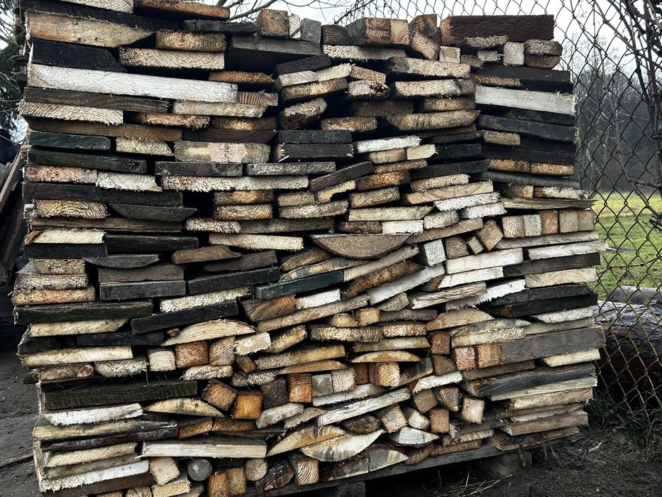 Suche drzewo opalowe