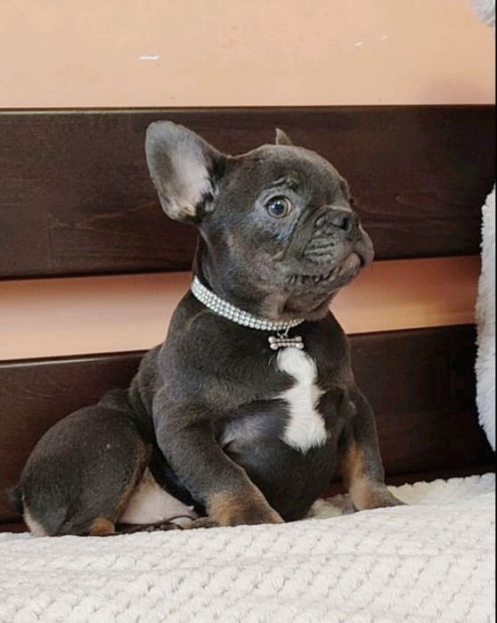 Мініатюрний блакитний хлопчик