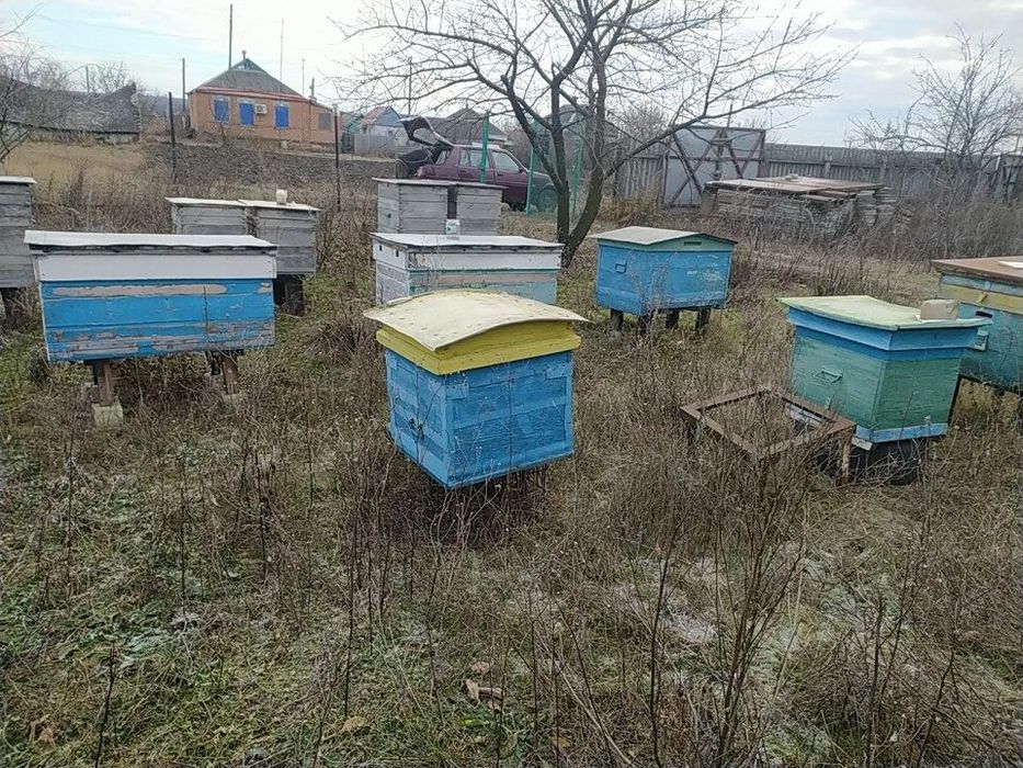 Рамки  для ульев