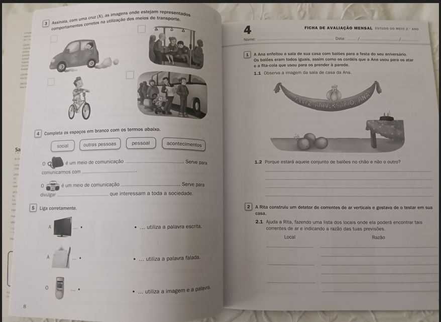 Estudo do Meio 2º Ano - Fichas de Avaliação