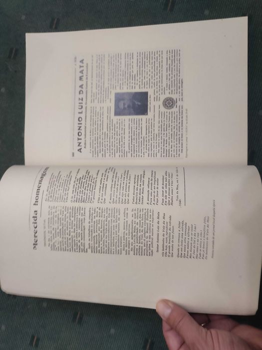 Os descendentes de Damia Rosa do Rosário e Luiz António da Matta 1858/2007