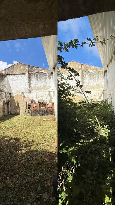 Limpeza de Terrenos || Abate de Árvores || Desmatação