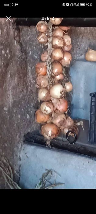 Vendo batata e cebola caseira