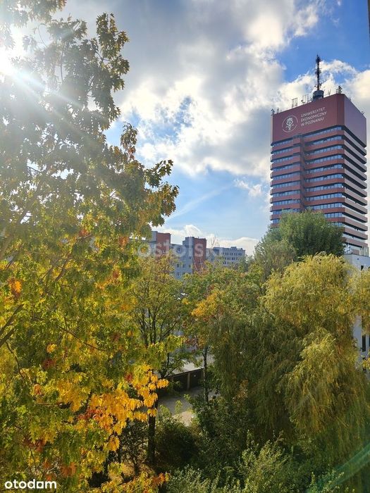 Mieszkanie – Poznań - Widok 3