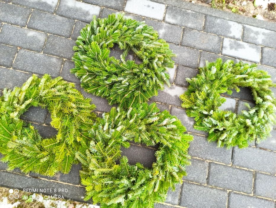 Wianki 100 sztuk możliwość zrobienia jodła