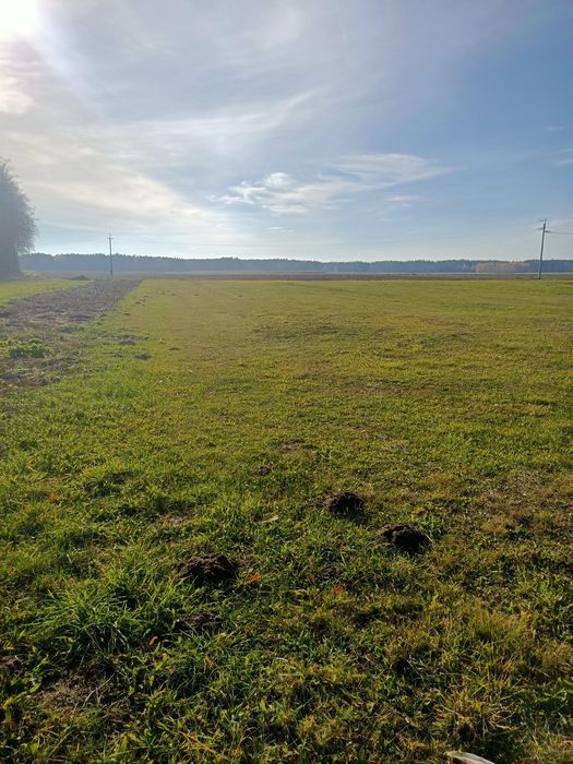 Sprzedam posesję z domem