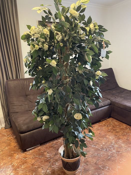 Декоративне дерево 180см