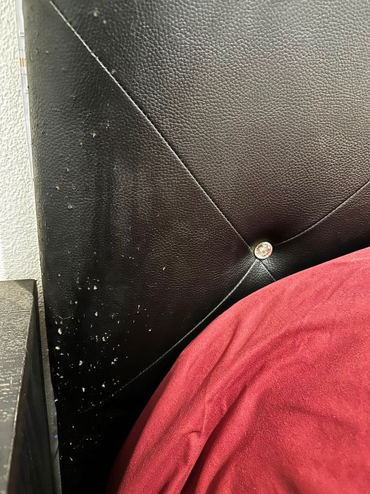 Cama de casal com colchão