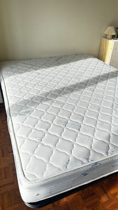 Colchão Molaflex 1.6mX2m