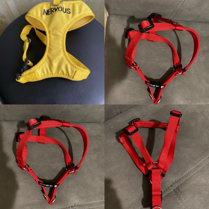 Шлеї  жовта, червона  середньої породи собаки