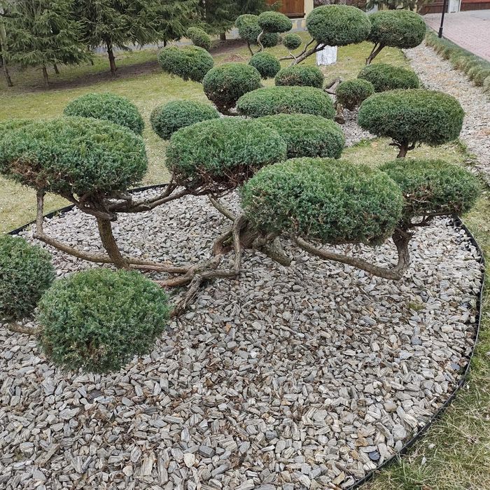 Usługi Ogrodnicze., Zakładanie Ogrodów