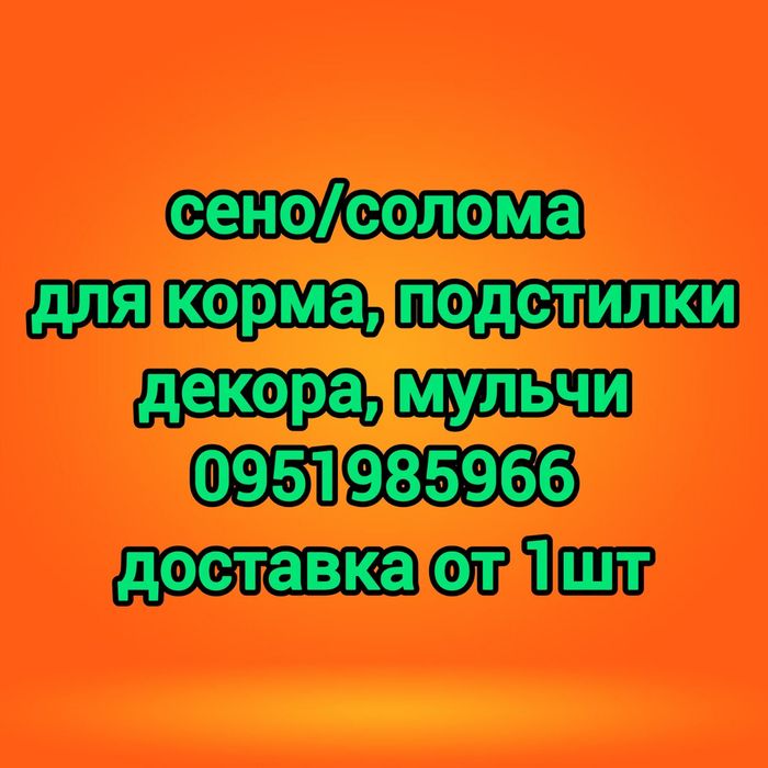 ‼️СІНО З БЕСПЛАТНОЙ ДОСТАВКОЙ в тюках, мешках, сено ячка и др виды для лошадей, КРС, коз.