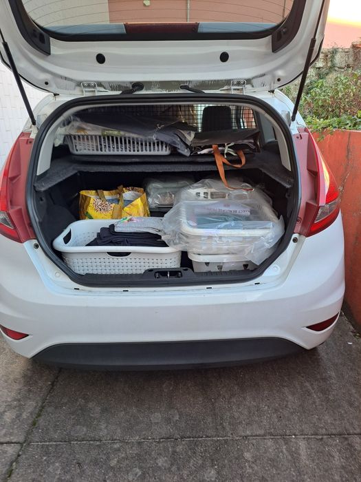 Passa a ferro com recolha e entrega gratuita até 5km