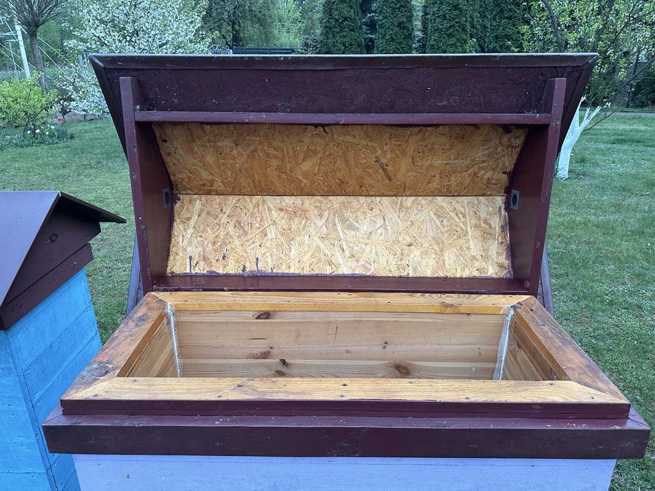 Ule Warszawskie zwykłe