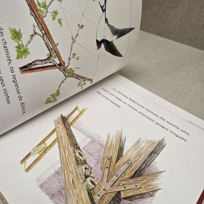 Livro  A História  de Dona Lavandisca Alvéola