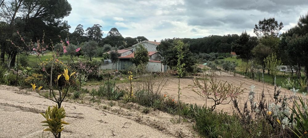 Terreno para venda