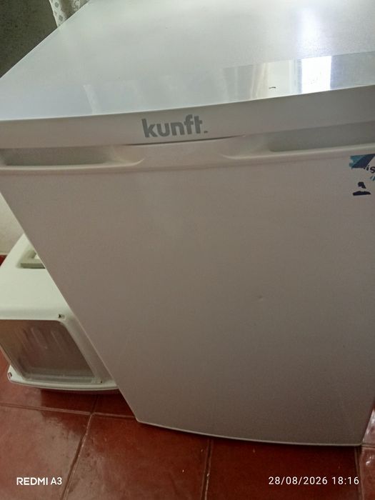 Vendo Arca congeladora