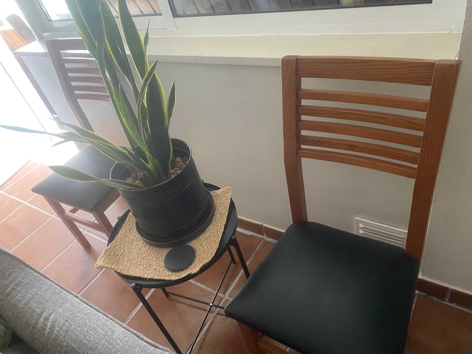 Cadeiras de sala de jantar em madeira maciça