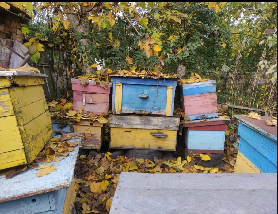 Продам вулики б/у