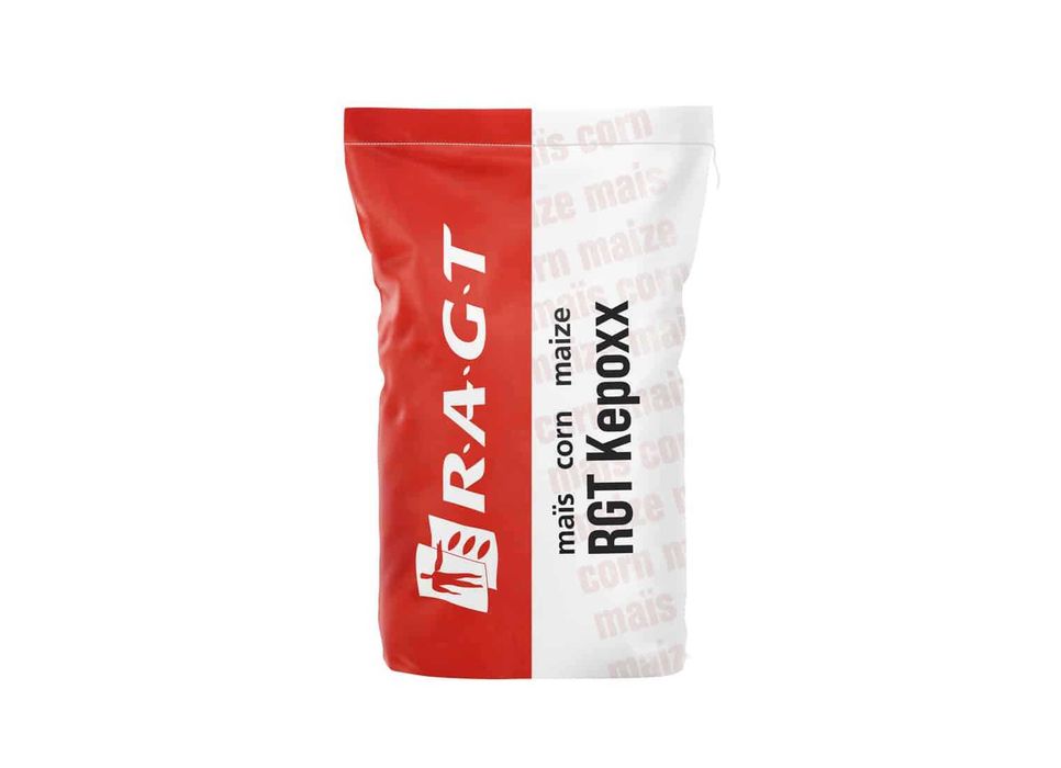 kukurydza RGT Kepox