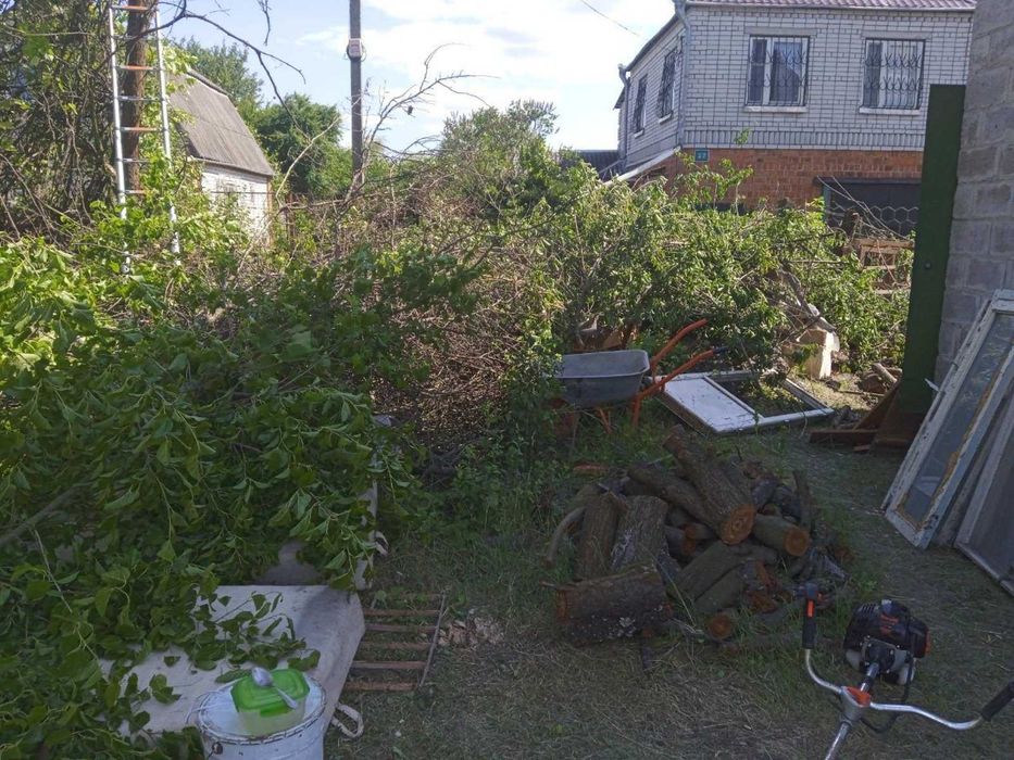 Покосить бурьян СПИЛ Деревьев Расчистка участков Корчевание пней Вывоз