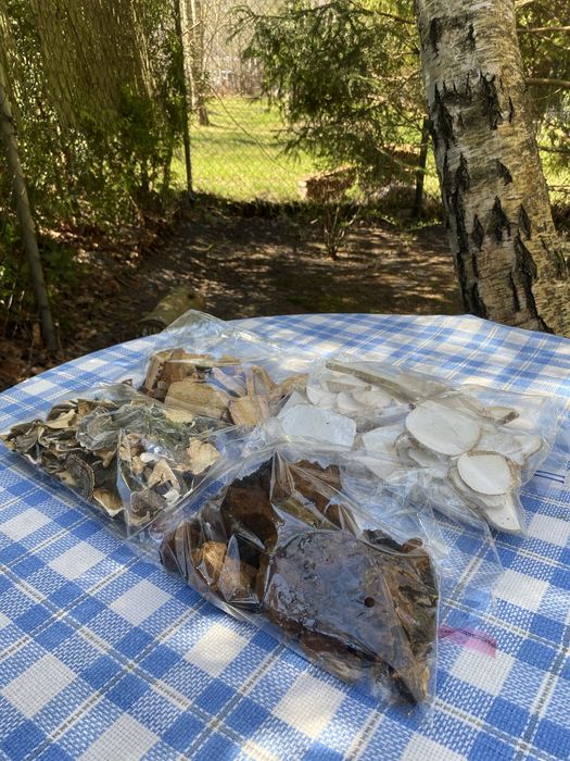 Wrośniak,Chaga,Białoporek,Pniarek.0,7 kg