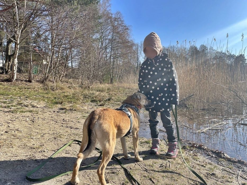 Zuzia na tropie domu