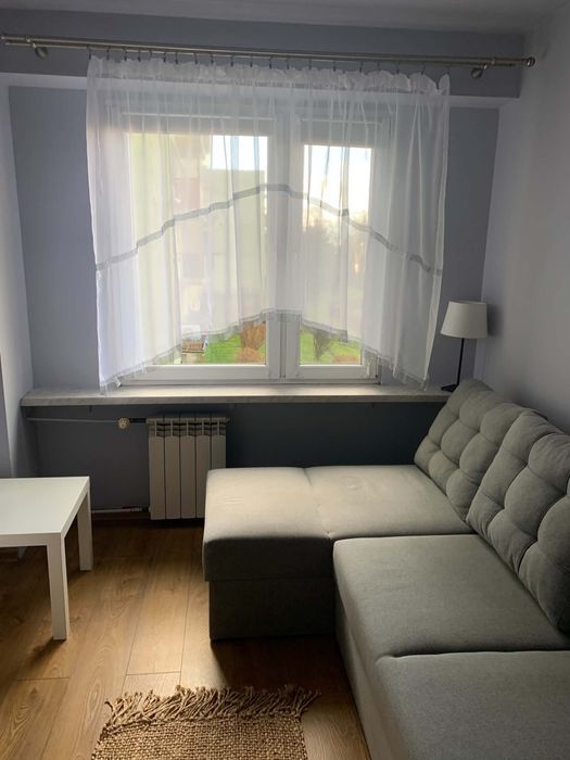 Zdjęcie 4