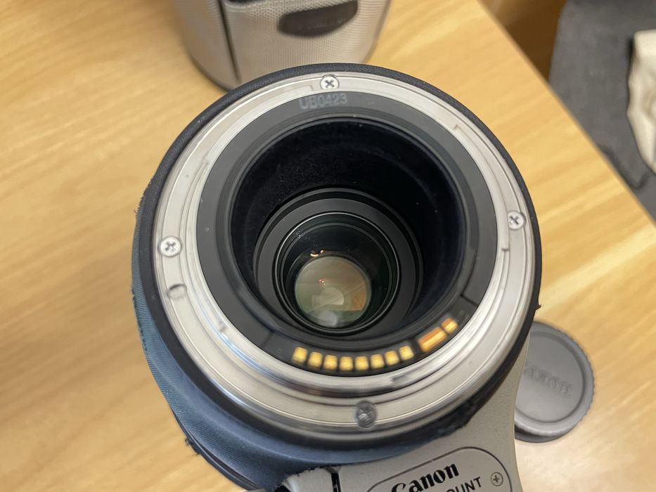 Canon EF 100-400mm f/4.5-5.6L IS MKI