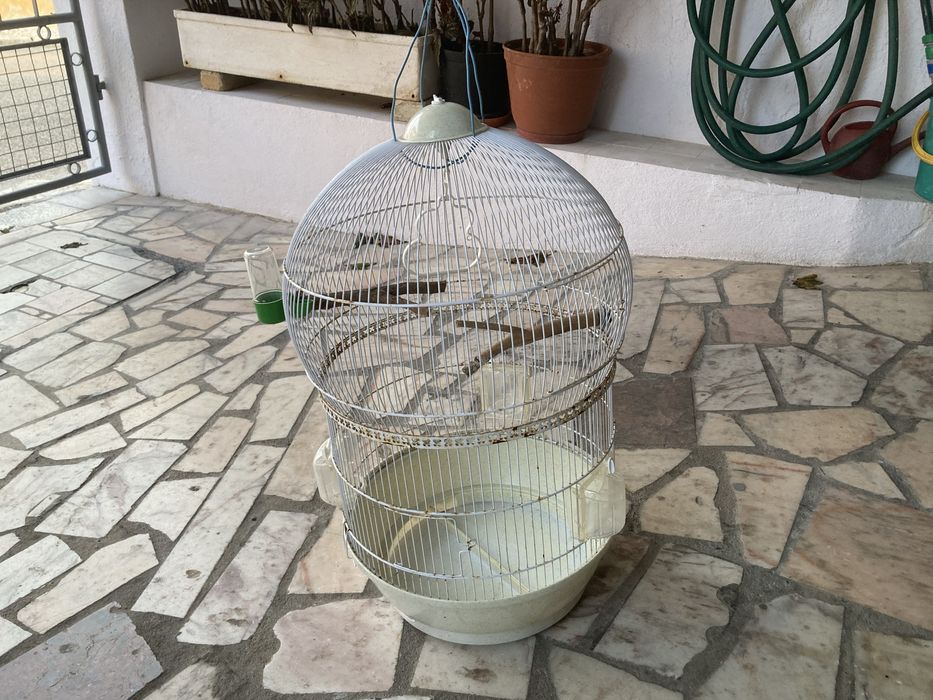 Gaiola usada negociavel