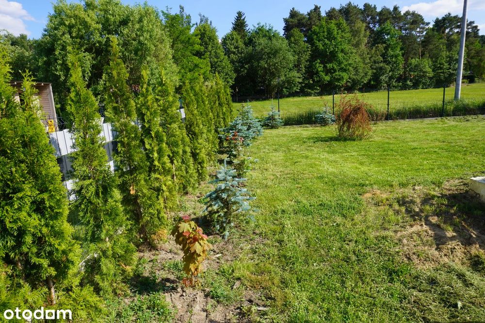 Działka, Boszkowo-Letnisko - Widok 6