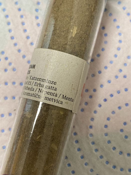 Ervinha de gato catnip