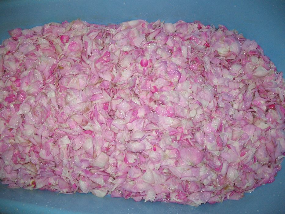 Варення з пелюстків чайної рози