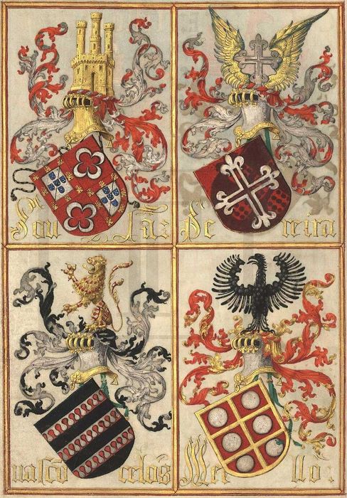 Livro da Nobreza e Perfeiçam das Armas de António Godinho C/ Capa