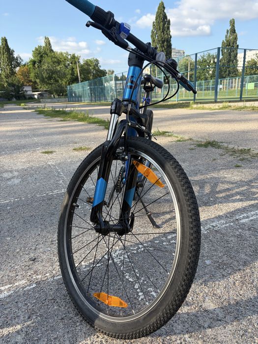 Bergamont Revox 24